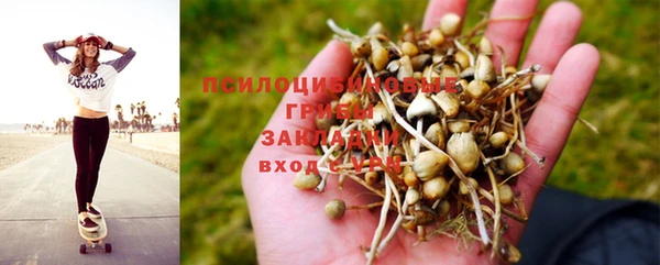 трава Нея