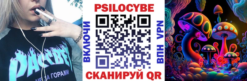 где можно купить наркотик  Полярный  Галлюциногенные грибы Psilocybine cubensis 