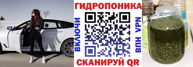 Канабис Bruce Banner Полярный